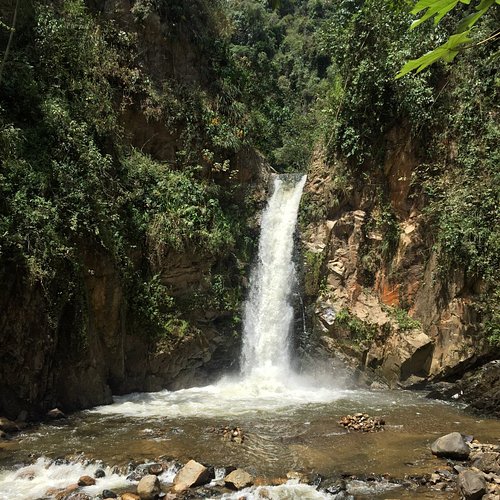 Paisaje Natural de Gigante