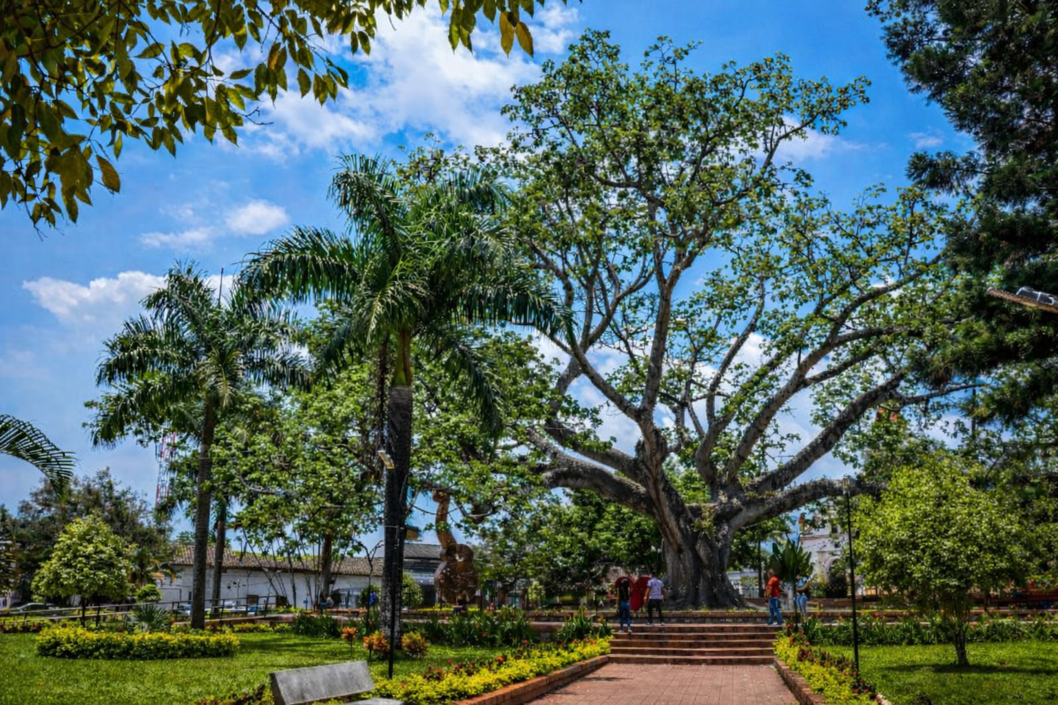 Naturaleza de Gigante, Huila